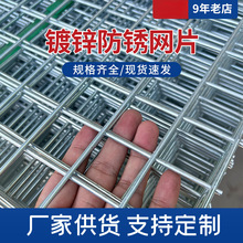 镀锌铁丝电焊网片建筑网格养殖隔离网加粗狗笼子钢丝围栏防护网