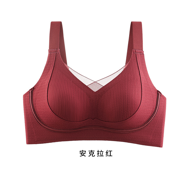앙콜라 레드