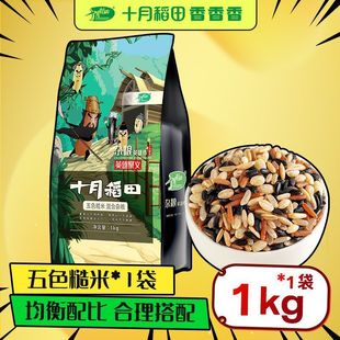 ʮ�µ�����ɫ����2/4�� ���ײ��������t��С���ʺ���������������