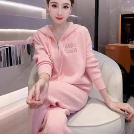 洋气减龄休闲套装2024年春秋新款粉色连帽长袖加厚卫衣两件套女装