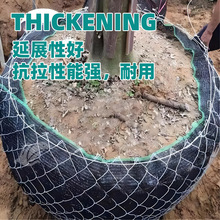 树木移栽打包土球树根网包树头铁丝网勾花代替草绳布条包泥头网兜