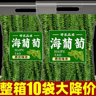 ���������r��ʳ�}�n�������r�����߲˾Gɫ�~���u������ͽ�ĩ500g