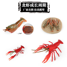 ��ͯ�J֪���溣������С����ģ��С���r���L���ڿƽ���߈����[��