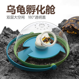 BOKG Elementary School Children's Scientific Feeding Egg Incubator Animal Small Experiment Turtle Egg Hatching Cabin Observation Box Toy