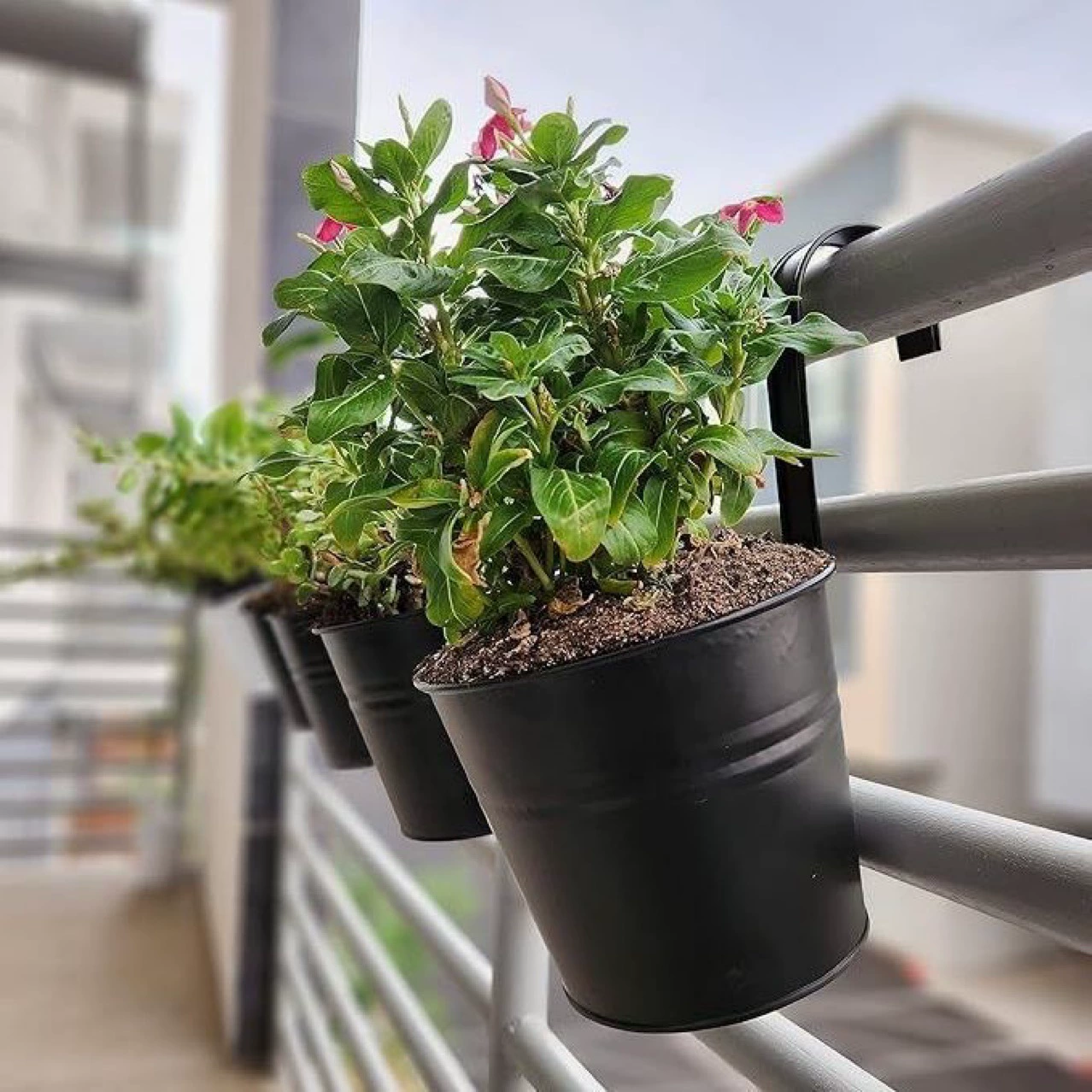 Экспортируется в Нидерланды, железное ведро 13,5, цветочный горшок, подвесной горшок, суккулентное растение, цветочный сосуд, балконный крючок, железное ведро для цветов