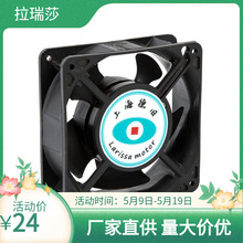 12038СSLCICL12ɢL220v