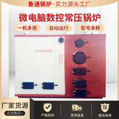 卧式燃煤蒸汽发生器  地暖数控燃煤反烧式常压锅炉柴煤全自动供暖