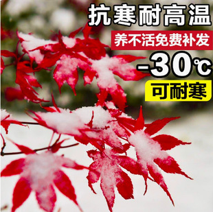 �t�������ļ��tͥԺ�e�������Nֲ�����ԾG���������F�ͺ��ͺ��G��