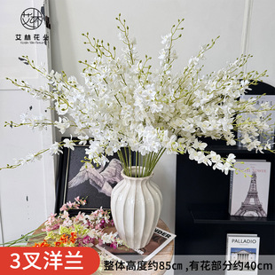 3�����m����ٻ���@�Ҿӻ�c���Ų��ý����bӰ��g�zӰ����