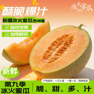 �½������������۹������۹��ܹϴ����۹��ܹ�25̖�W�y���������