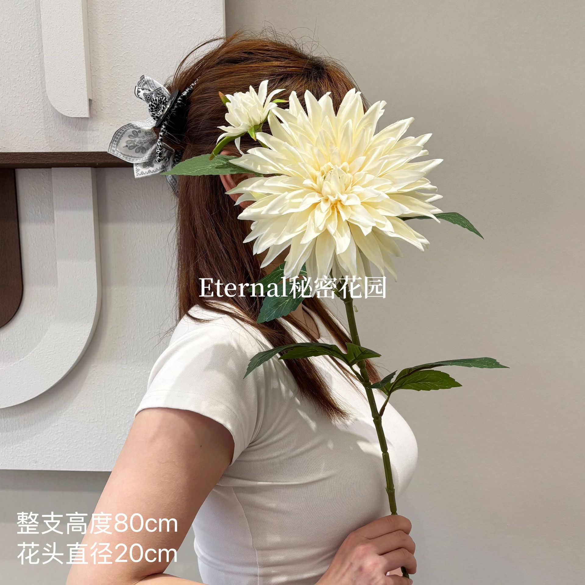 유럽 ​​달리아