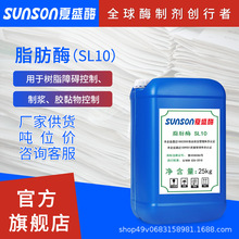 夏盛 脂肪酶SL10造紙加工去樹脂障礙助劑 工業級添加劑 生物酶制