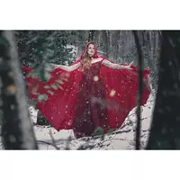 2019 новый бархатный плащ невесты свадебный плащ свадебный аксессуар выпускной вечер длинное пальто завод волос