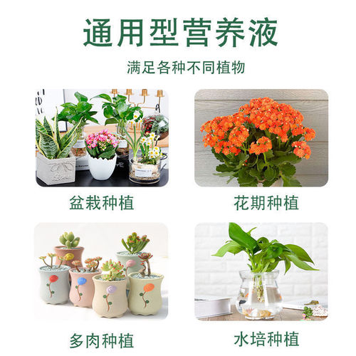 Wholesale plant nutrient solution, universal flower and green plant liquid fertilizer, hydroponic foliar fertilizer, rich bamboo nutrient solution