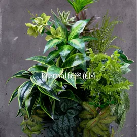 仿真花;仿真绿植;仿真果蔬