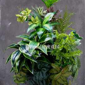 2026高端新款绿植仿真植物墙 自然风系植物景观园林造景仿真盆栽