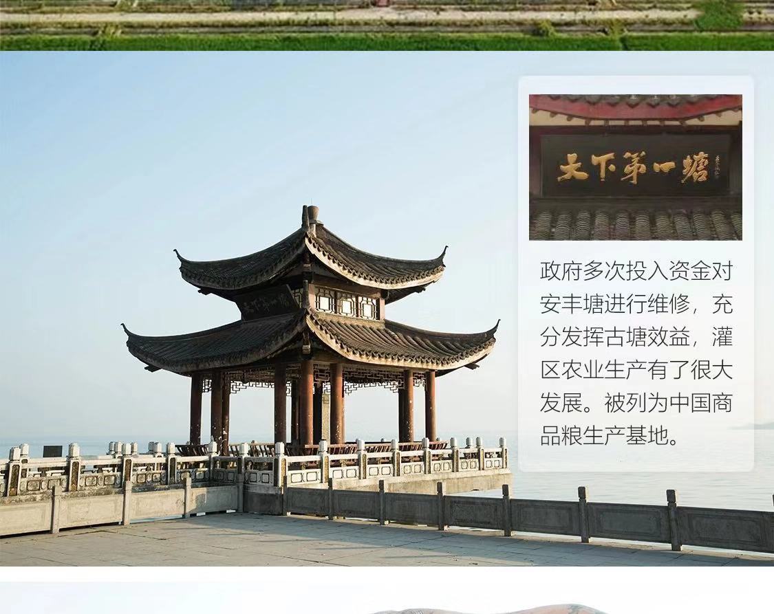 81f8b772de07445ca719ac1846c00b