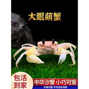 ���Aɳз���w����������з���ˌ���ľ�з��ˮ���B����B�����b