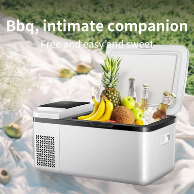 Home Insulated Refrigerator, 18L, Soyuducular