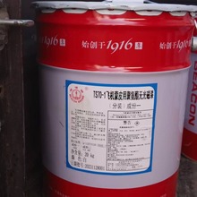 飞机蒙皮 军工特种漆灯塔TS70-1 双组份