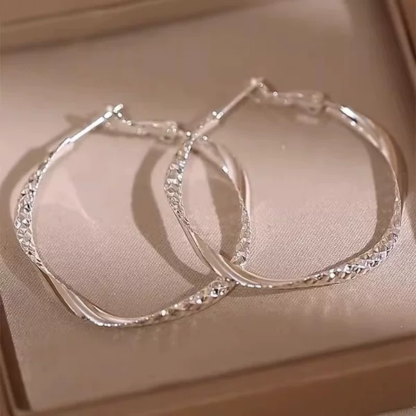 Casual and Personalized Design Twisted Earrings Metal Style Cool Texture Circle Earrings Fashionable Elegant Earrings for Women
