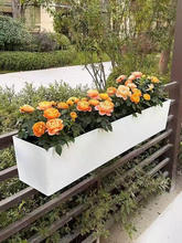 �L���Β�ʽ�����������ˮ�L�l���̨�ڗU�Ғ컨���o�ڿɒ�ʽ����