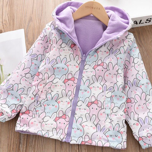 Women's Fleece Lined Jacket for Early Spring, Two-Way Wear, 2024 New Spring and Autumn Collection, Hooded Style