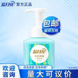 蓝月亮抑菌泡沫洗手液 健康抑菌 泡沫细腻 鲜果薄荷 255ml
