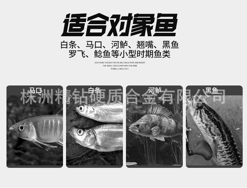 大耳猕猴详情_03