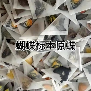 ������˱�����ԭ��δչ���ֹ�diy�������x�˱��P��ԭ�x͐��
