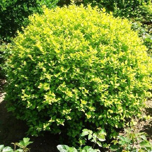 ���������G�����ý��~Ůؑ�� �r��� �ɻ��ʸ� �l؛���r ����r��