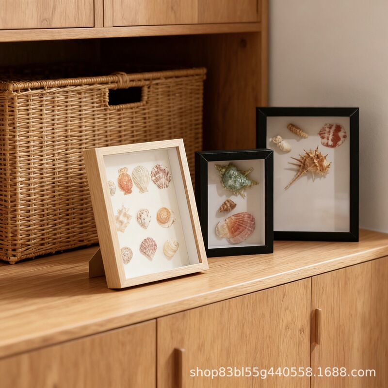 Three-Dimensional Hollow Dried Flower Specimen Frame Creative DIY Shell Conch Decorative Picture Frame Handicraft Ornaments Photo Frame