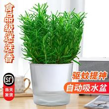 �Ե������Կ�ʳ��ţ����ˮ������㱡���~���K���r�_�������ֲ��