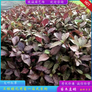 ���~�t�ݼt�{�ݵر�С�����ֲ��G��ͥԺ�@�ֹ�����S��ֱ�N���l