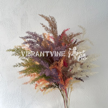 ���滨���ݻ�����c�b����ϻ�ɭϵ��Y�ù���ܛ�b�������ļٻ�