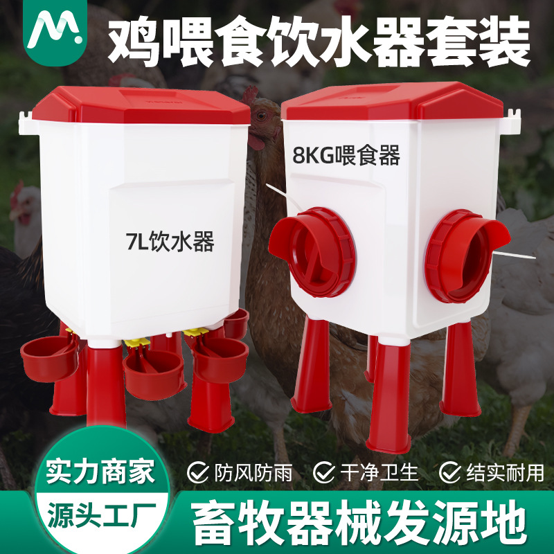 alimentador de codorilla tipo exportación con piernas de soporte bebedor automático de agua bebedor automático de codorilla de paloma alimentador automático de alimentos