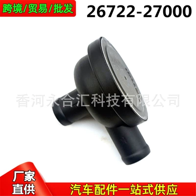 Gas Recirculation Valve Crankshaft – Other starting systems