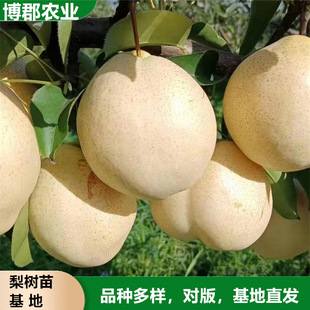 1-5���׼޽���� �ʹ惦�Ƕ�15Ƥ���o������ɽ�r�������