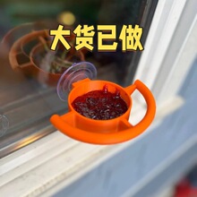���R�d�ɐی��Ä���Bird Feeder Window Cup Holder���Pʽιʳ��