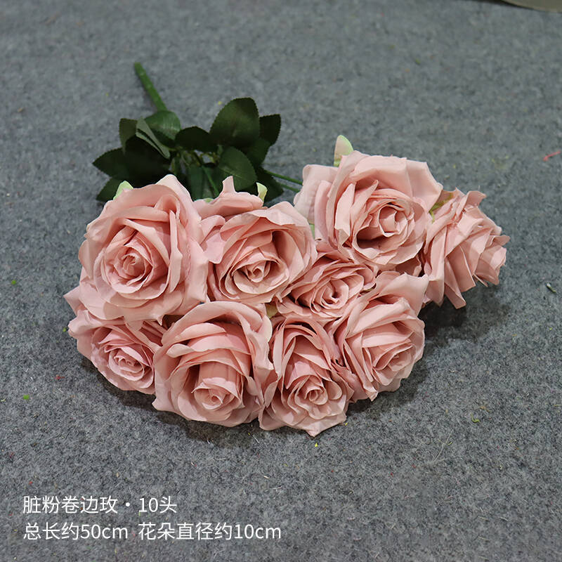 더러운 핑크 컬 장미
