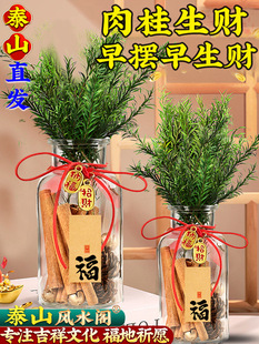 �����ؔƿ�[�����׾�ؔƿ���ɹ�diy�͏dλ��λ���w�¾��_�I�Y��