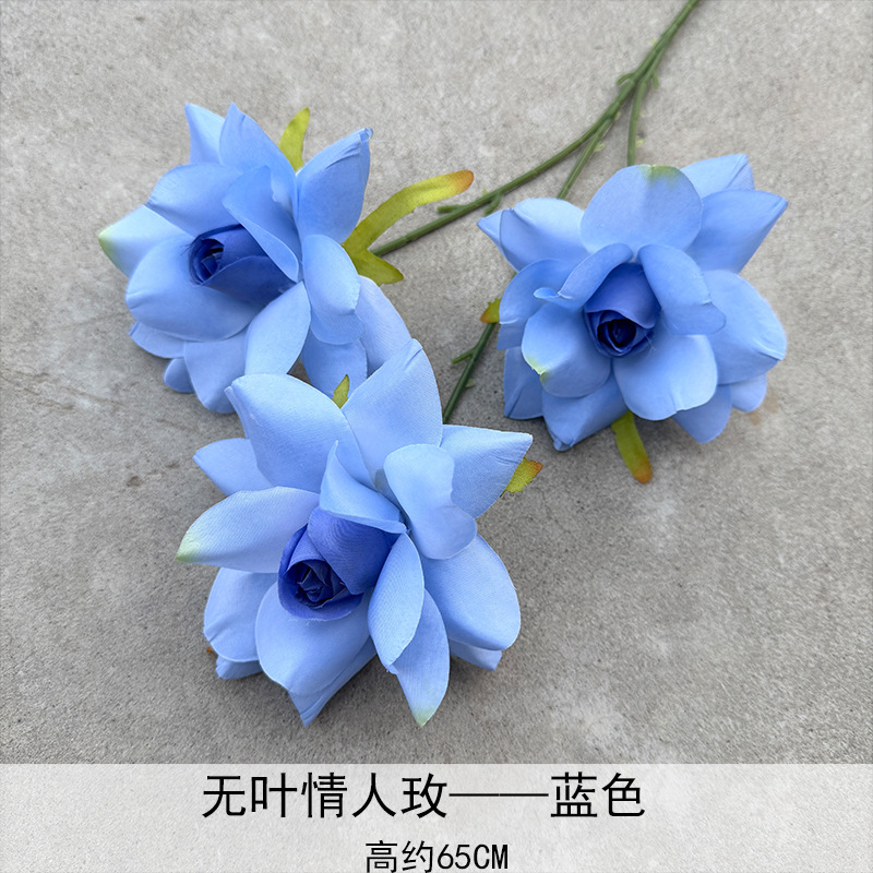 Amantes sin leaves rosa azul