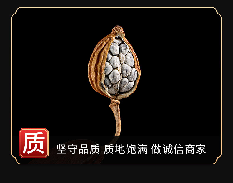 Xiang Guo (Amomum villosum) — Dried Aromatic Spice Herb for Braising & Herbal Cooking quality and texture