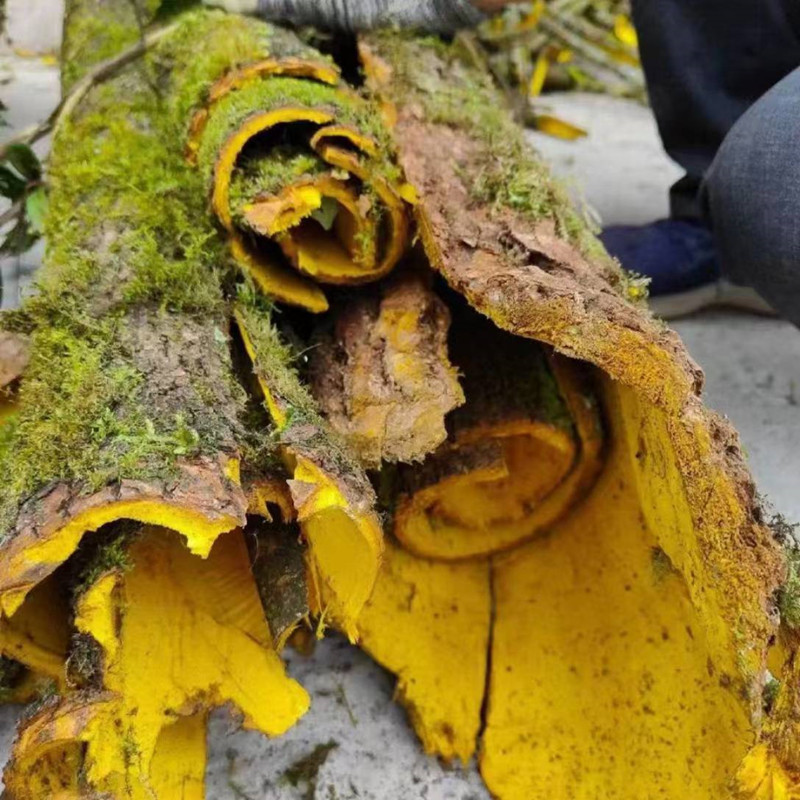 微信图片_20240417181152_副本