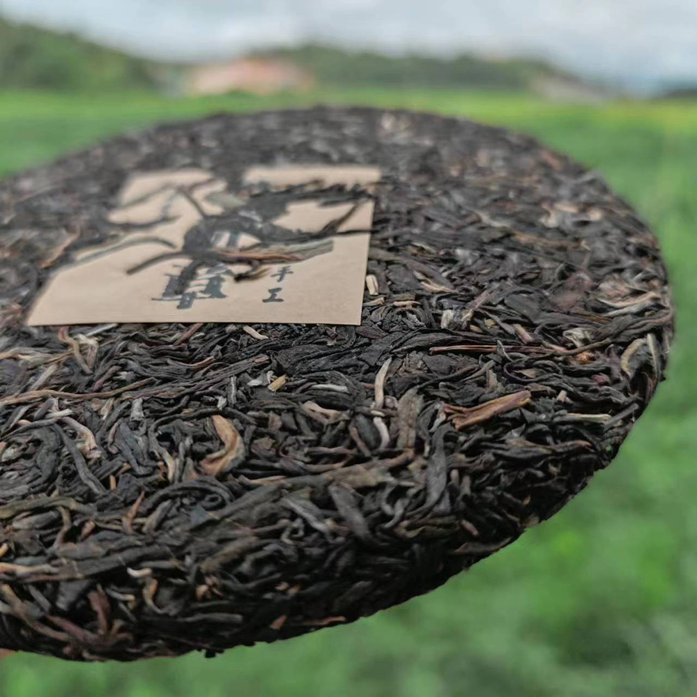 微信图片_20230630130411