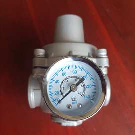 YZ11X-16P 带表不锈钢支管减压阀图片