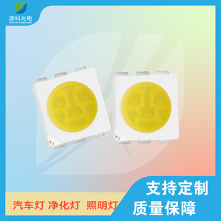 ���S����5050��о�׹�0.2W ������22-24LM 5050�׹�LED����
