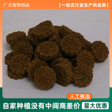 ɢ�b��ɺ��}����� �¿�С�͌����ɲ�� ������؈ĥ����ʳ