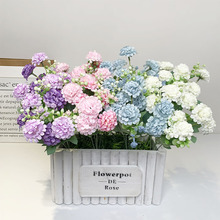 ���滨5�洺����ˮ��������С������ٻ��Ҿӿ�������ŷʽ����