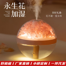 创意DIY永生花加湿器 家用卧室床头氛围灯补水仪 节日礼品加湿器